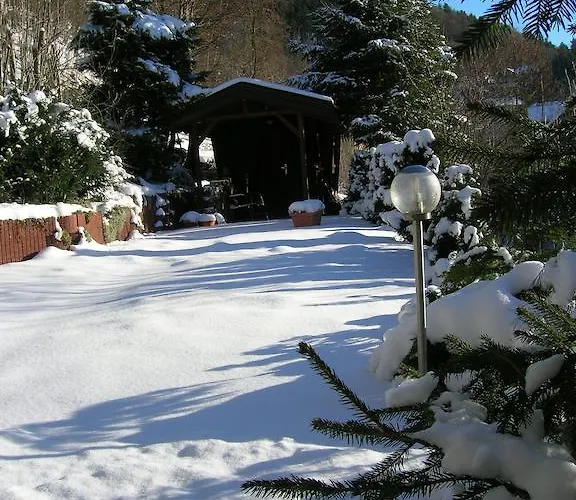 Aktivpension Regenbogen 3* Willingen (Upland)